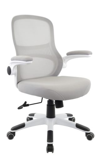 ergonomics chair